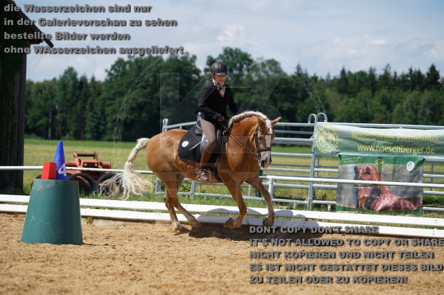 s_K3F04639.JPG